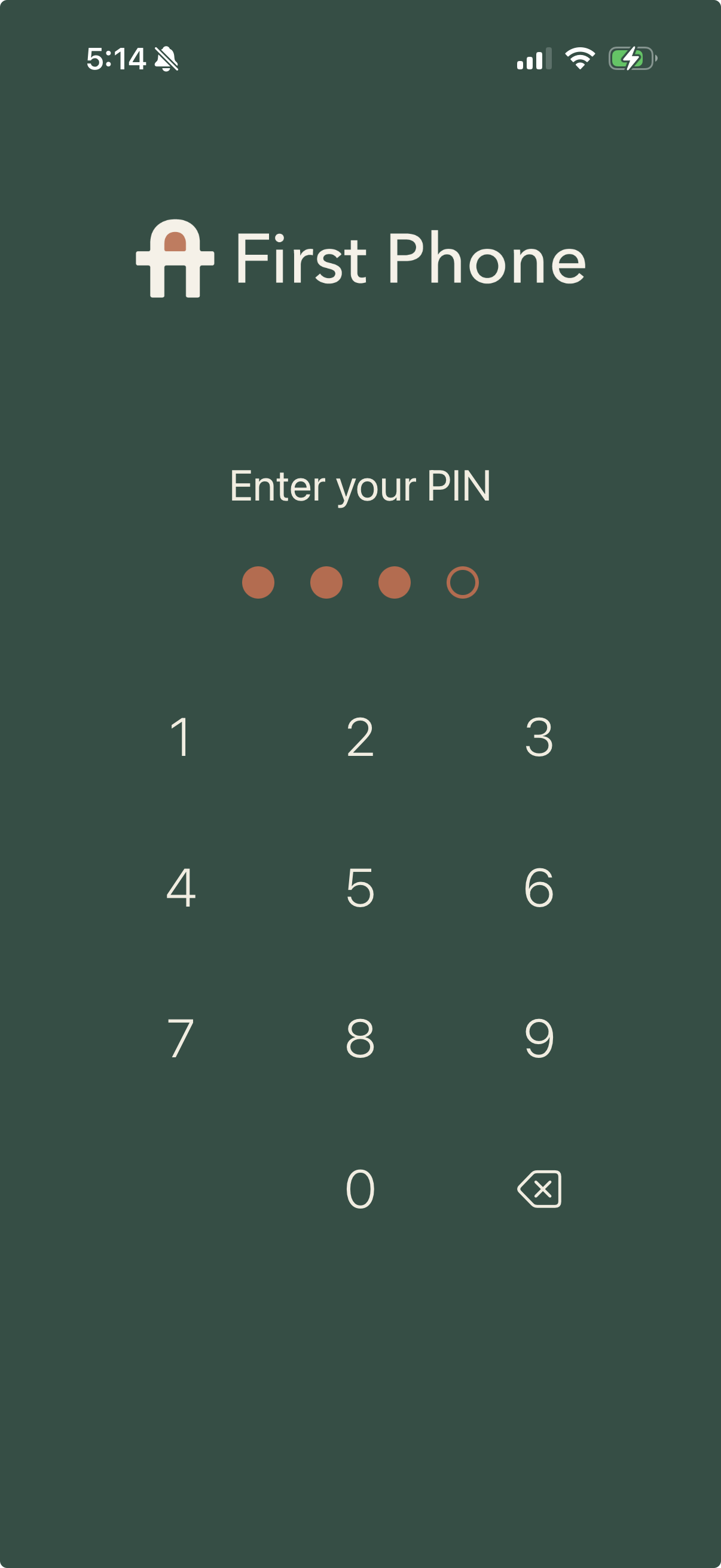 Parent PIN